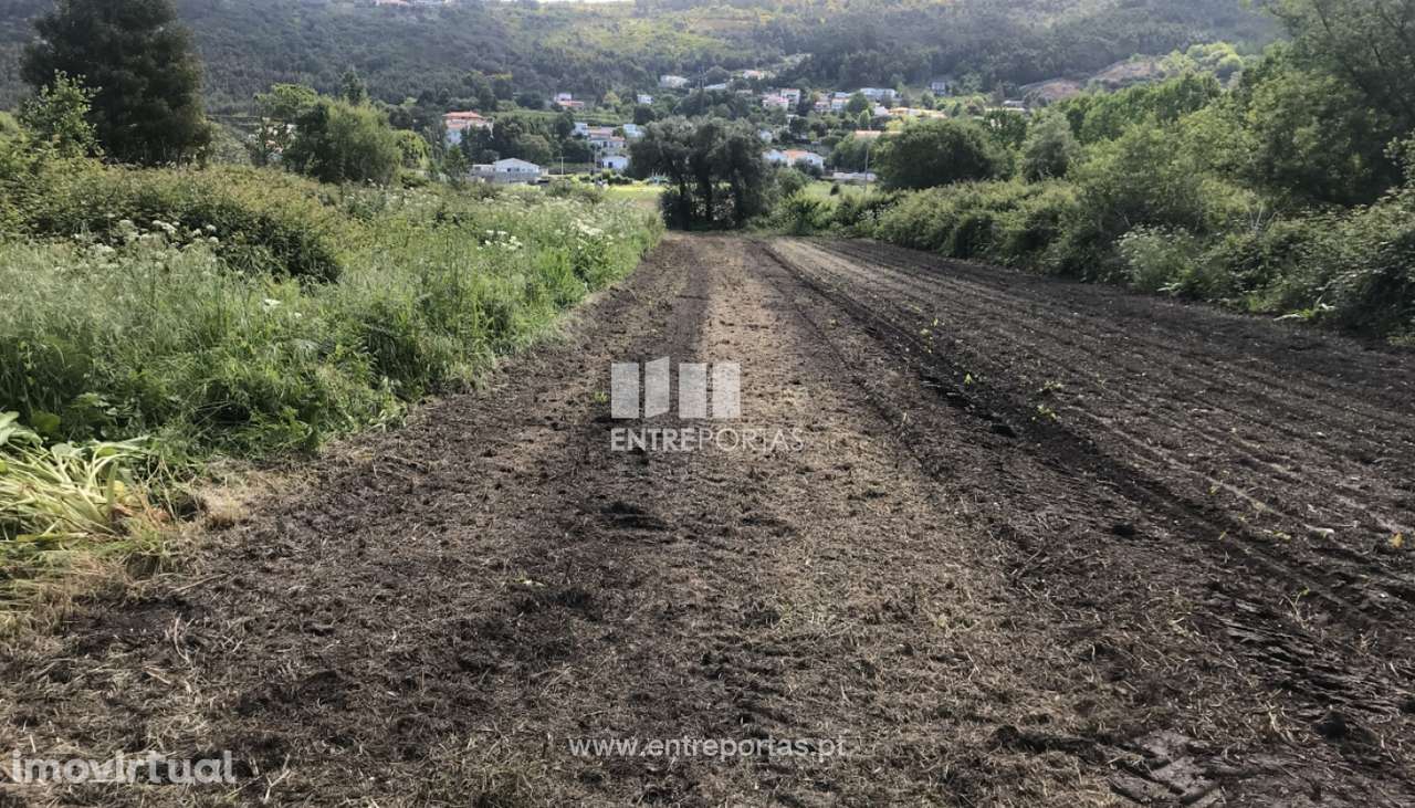 Terreno agrícola para venda, Cristelo, Caminha - Grande imagem: 4/6