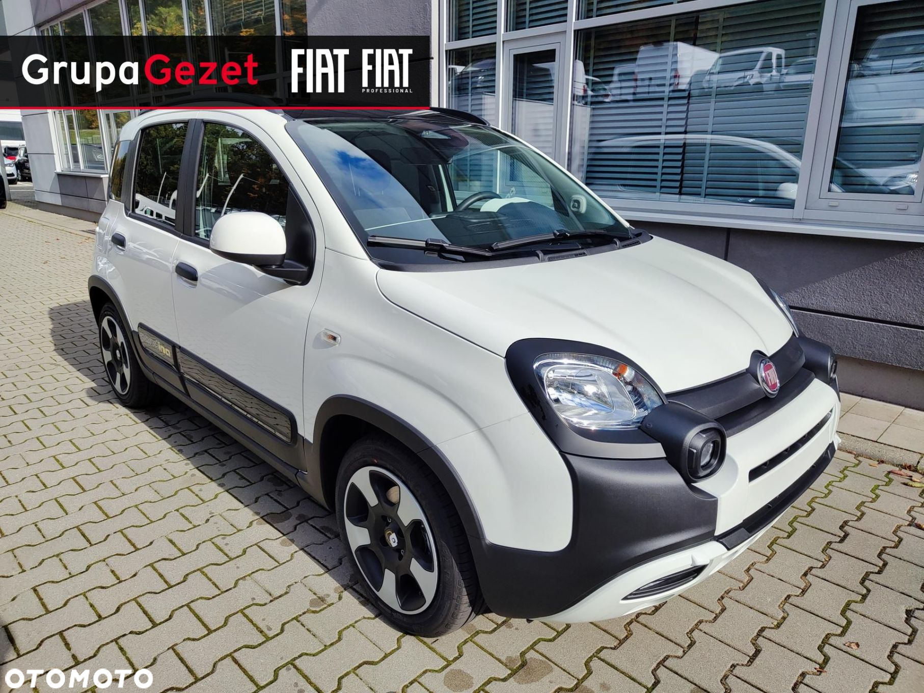 Fiat Panda - 2