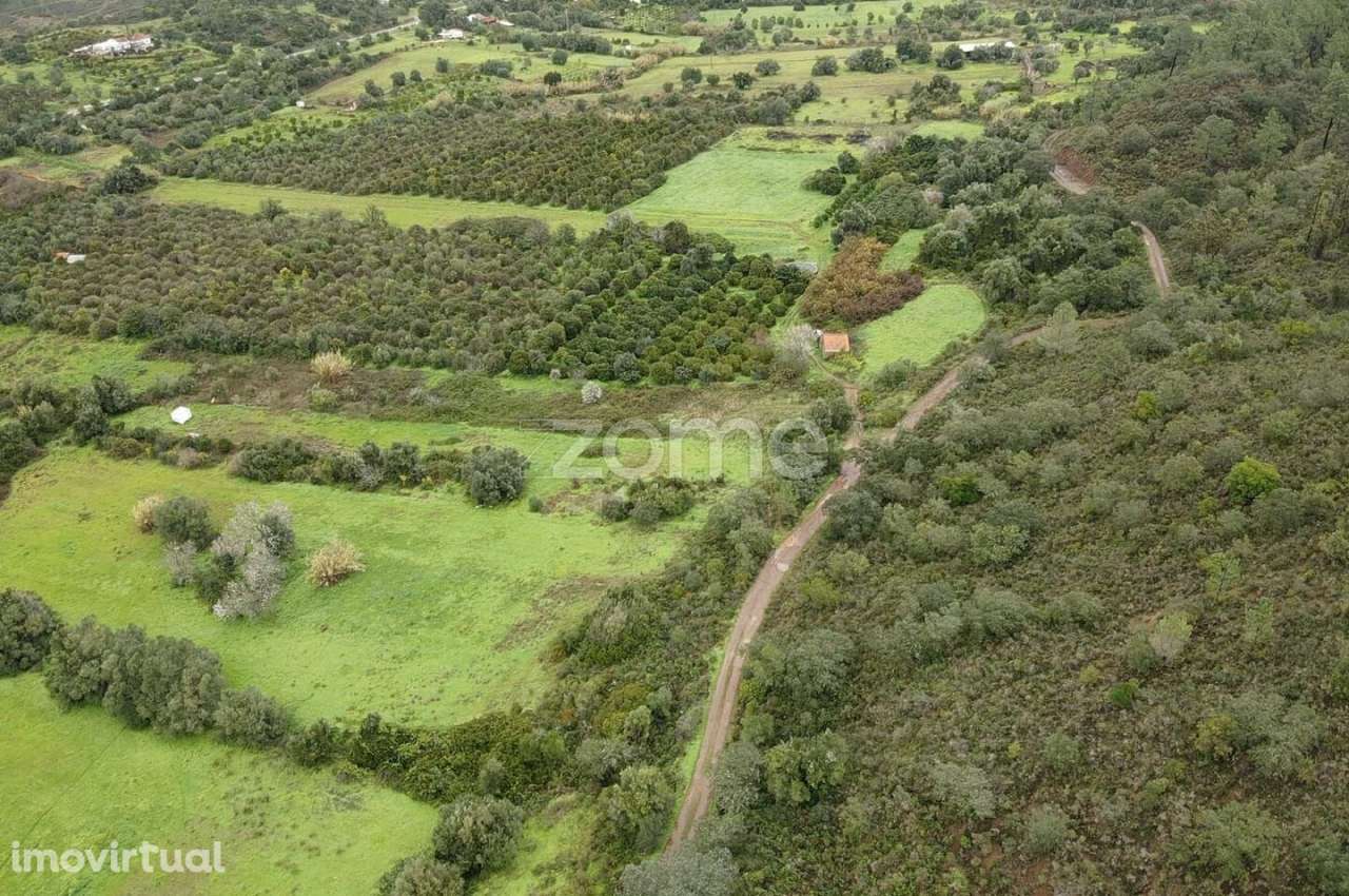 Dois Terrenos Rústicos c/ 4.680m2 em Ladeira da Cumeada - Grande imagem: 4/17