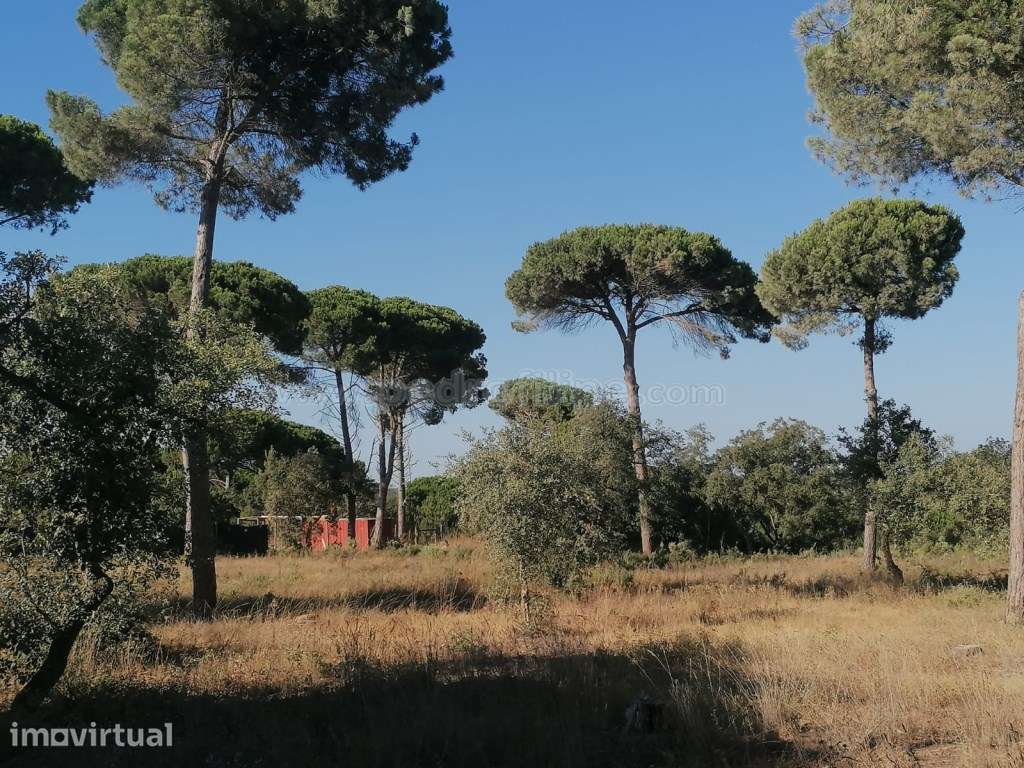 Terreno para cosntrução na Lagoa de Albufeira - Grande imagem: 4/6