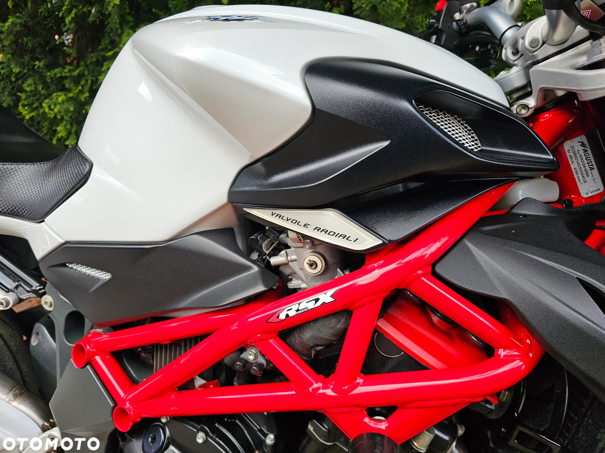 MV AGUSTA Brutale - 4