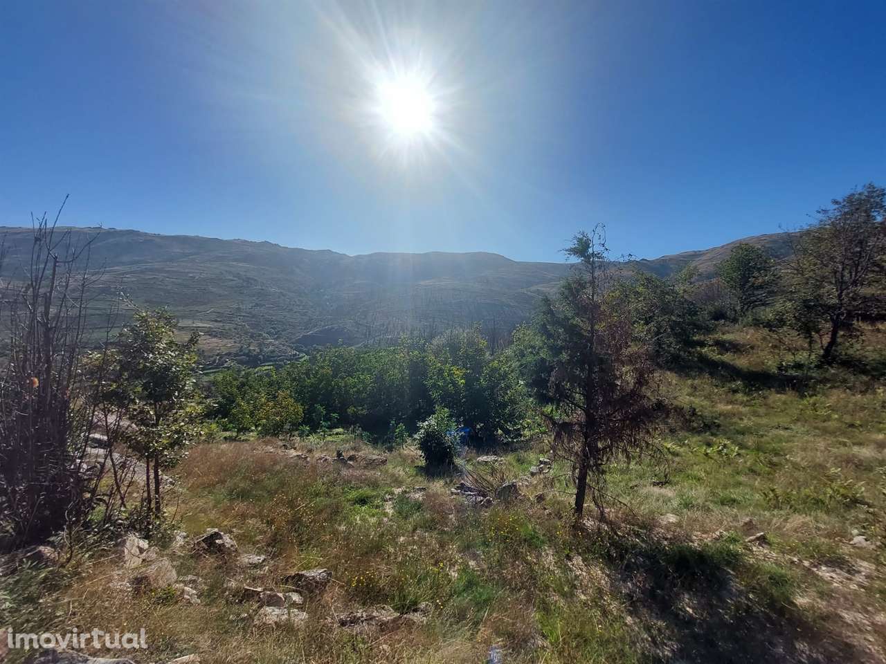 Terreno Rústico  Venda em Figueiró da Serra e Freixo da Serra,Gouveia - Grande imagem: 2/5