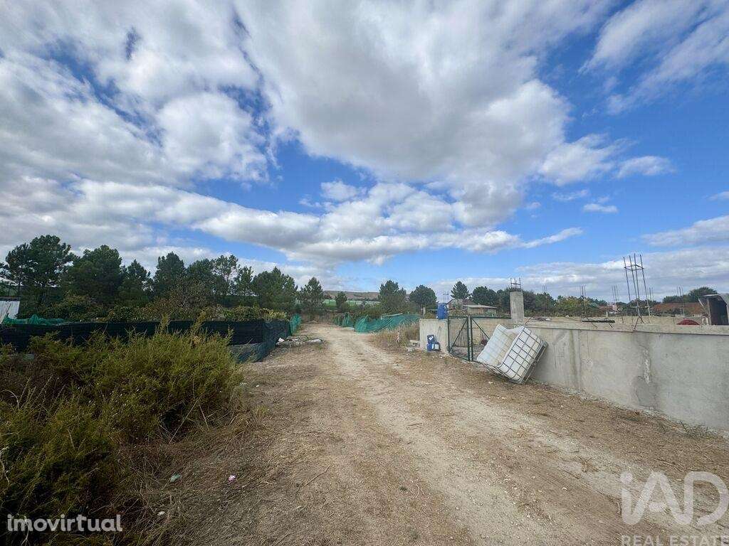 Terreno Agrícola em Quinta do Anjo - Grande imagem: 2/4
