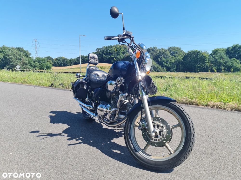 Yamaha Virago - 6