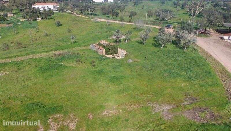 Quinta em Vale Seco  com projecto aprovado - Grande imagem: 3/10