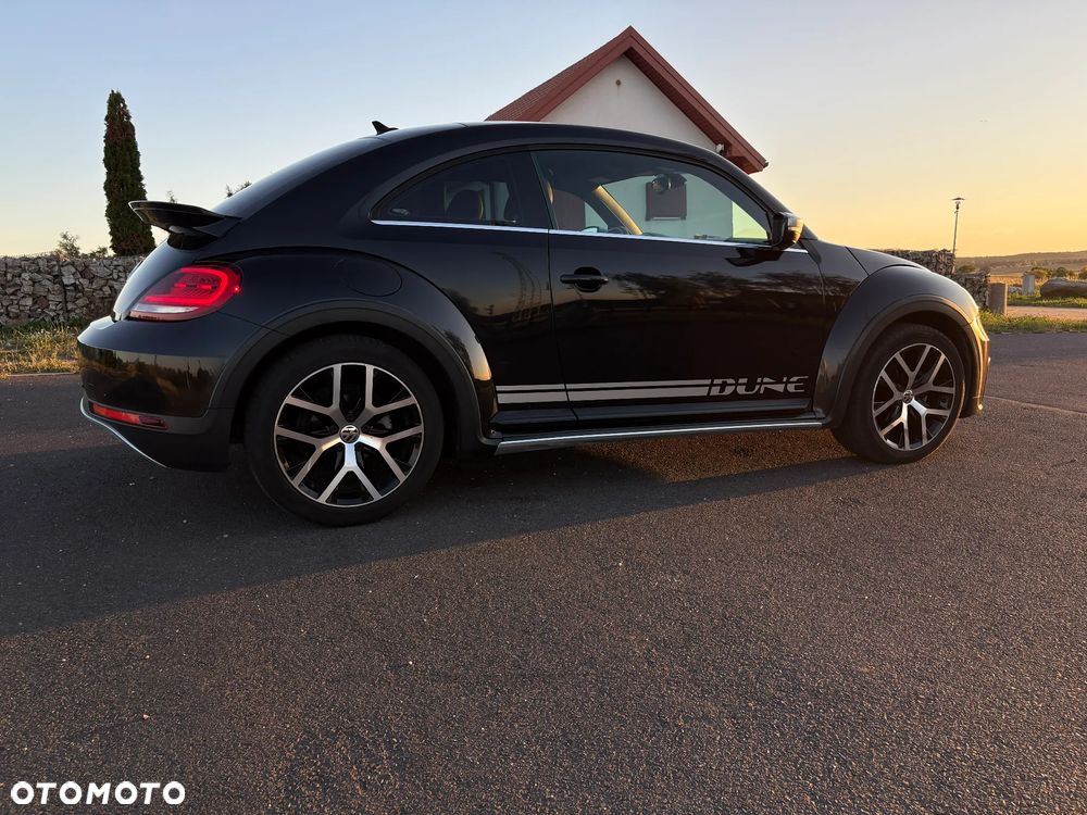 Volkswagen Beetle - 6