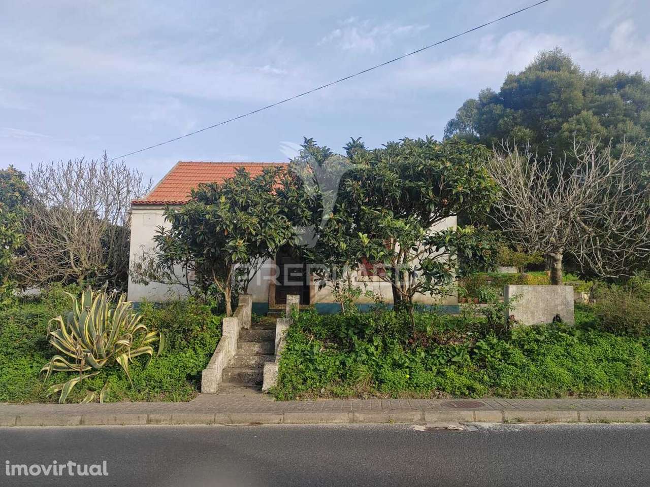 Quintinha / Terreno com  23000m2  e moradia T3 - Grande imagem: 3/23