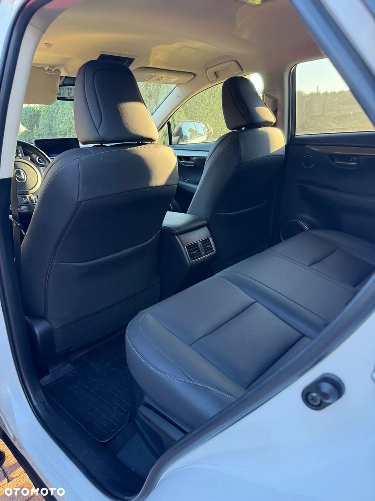 Lexus NX - 19
