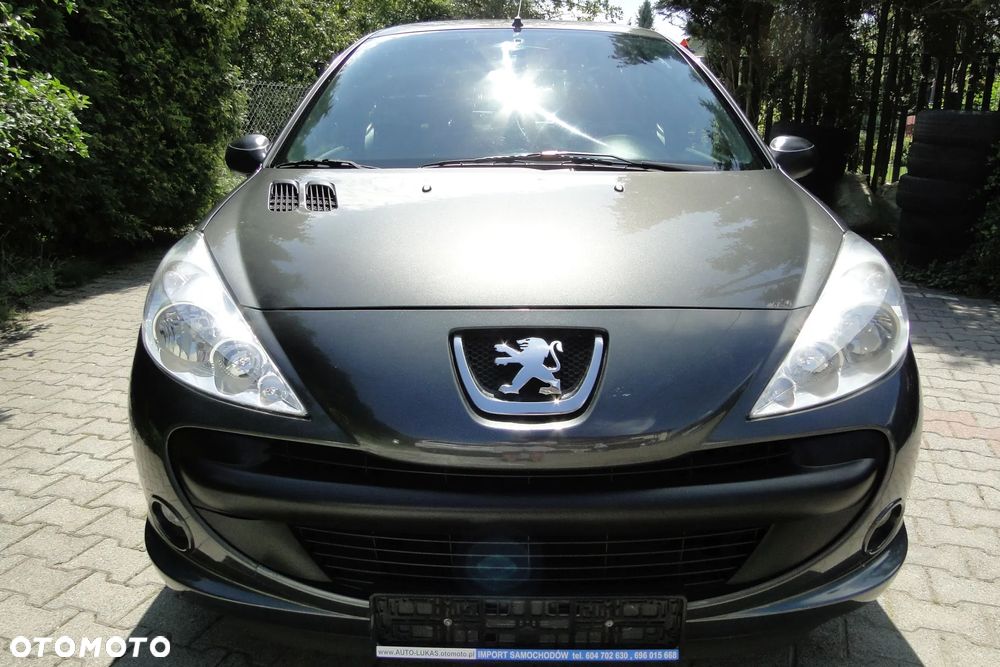 Peugeot 206 plus - 2