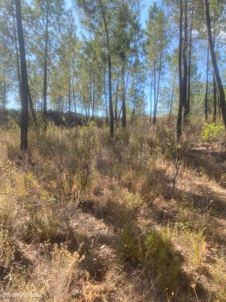 Terreno - Grande imagem: 5/9