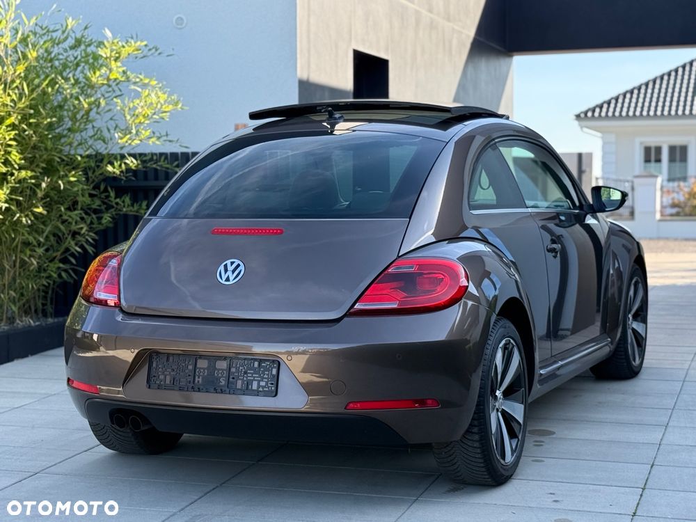 Volkswagen Beetle - 10