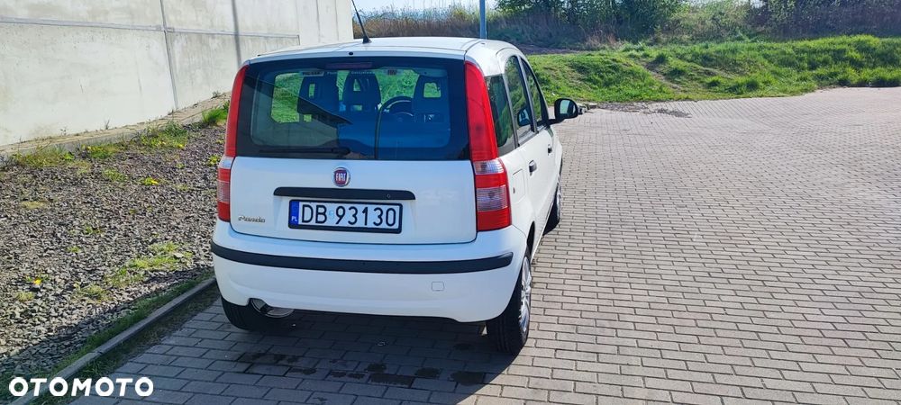 Fiat Panda 1.2 Active Eco - 7