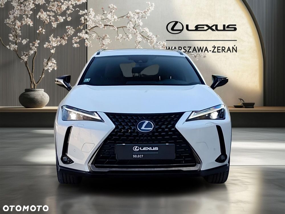 Lexus UX 250h GPF F Impression 2WD - 10