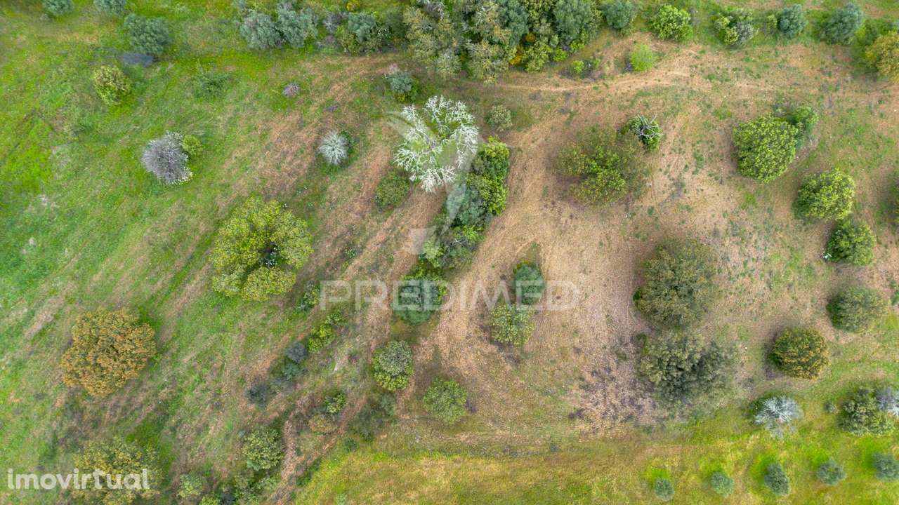 Terreno Rústico de 5 Hectares à Venda ,Alandroal - Grande imagem: 5/6
