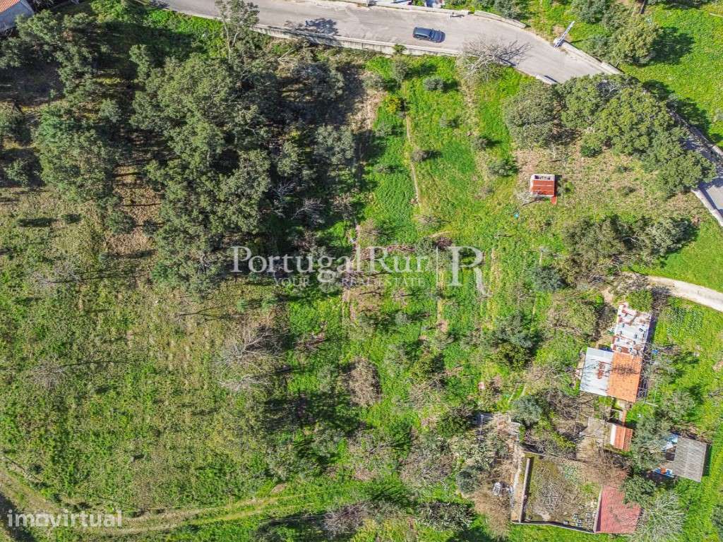 Terreno para construção em Proença-a-Nova - Grande imagem: 2/4