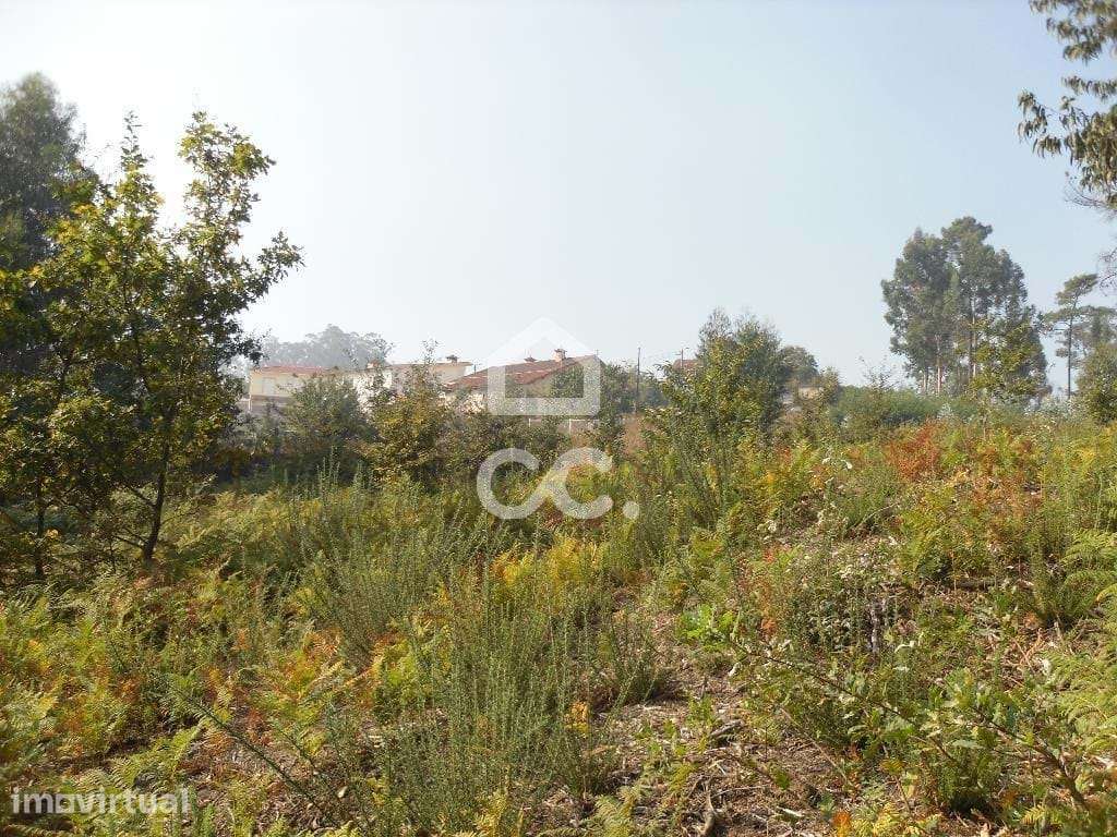 Terreno para moradia - Terreno - Grande imagem: 2/20