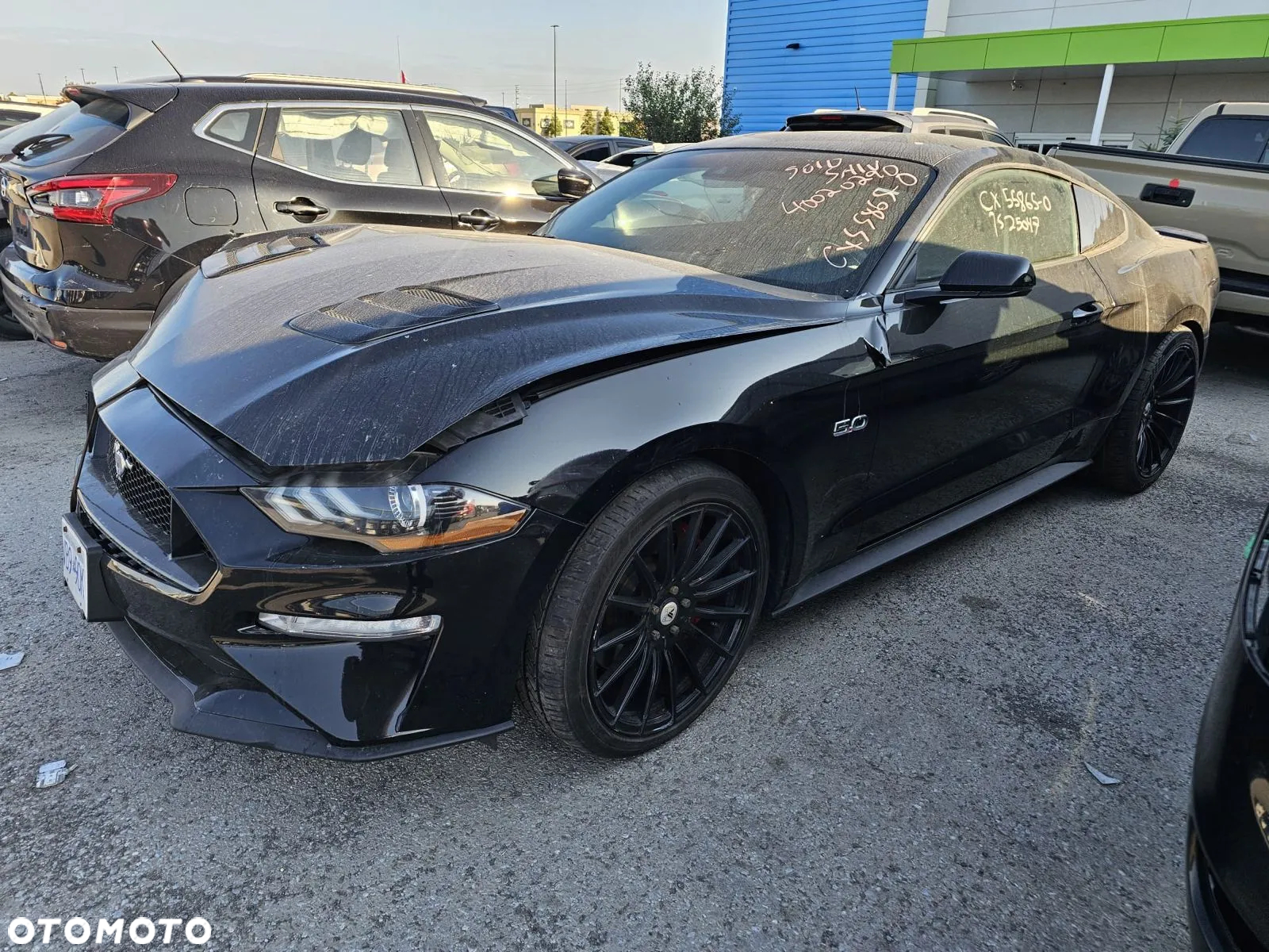 Ford Mustang - 5