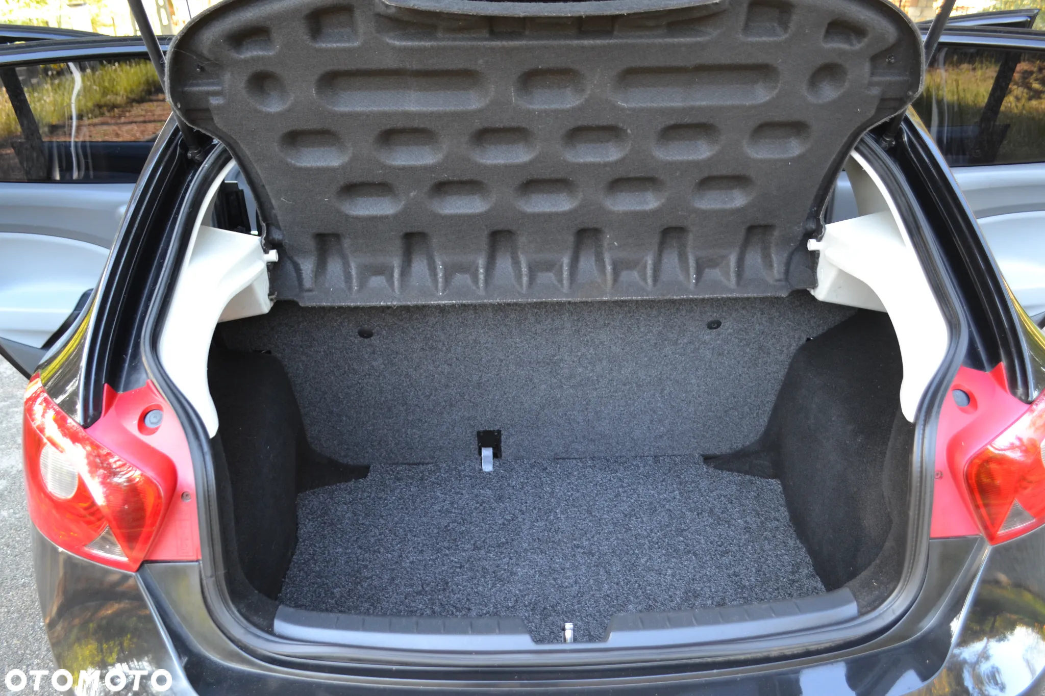 Seat Ibiza - 15