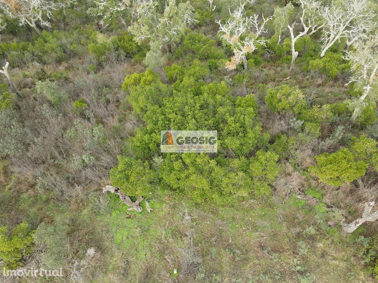 Terreno Rústico  Venda em São Barnabé,Almodôvar - Grande imagem: 2/19