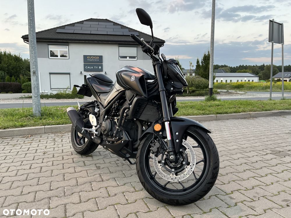 Yamaha MT - 3