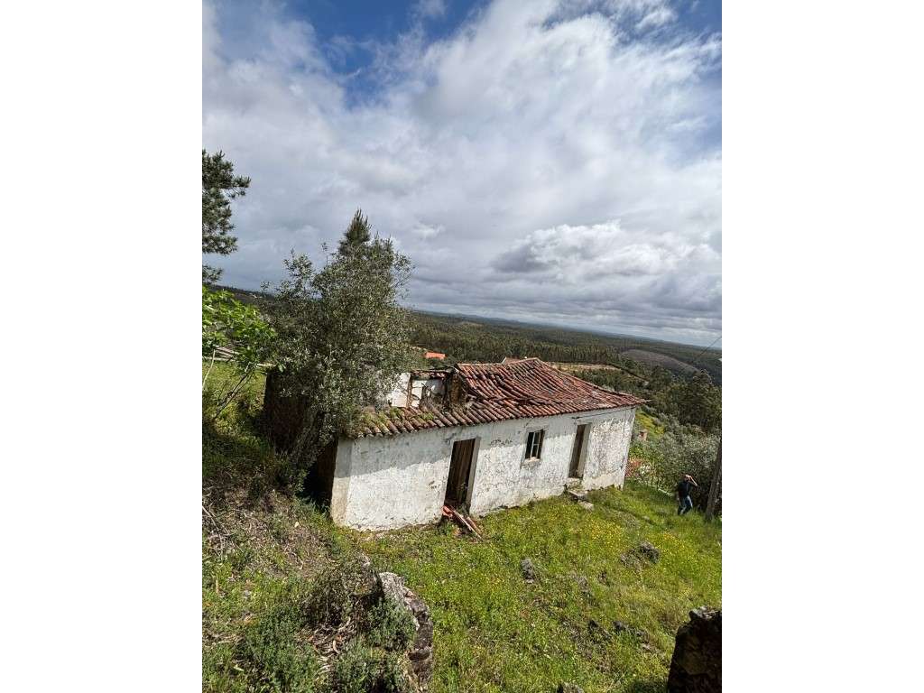 Oportunidade de investimento | Concelho de Abrantes - Grande imagem: 3/23