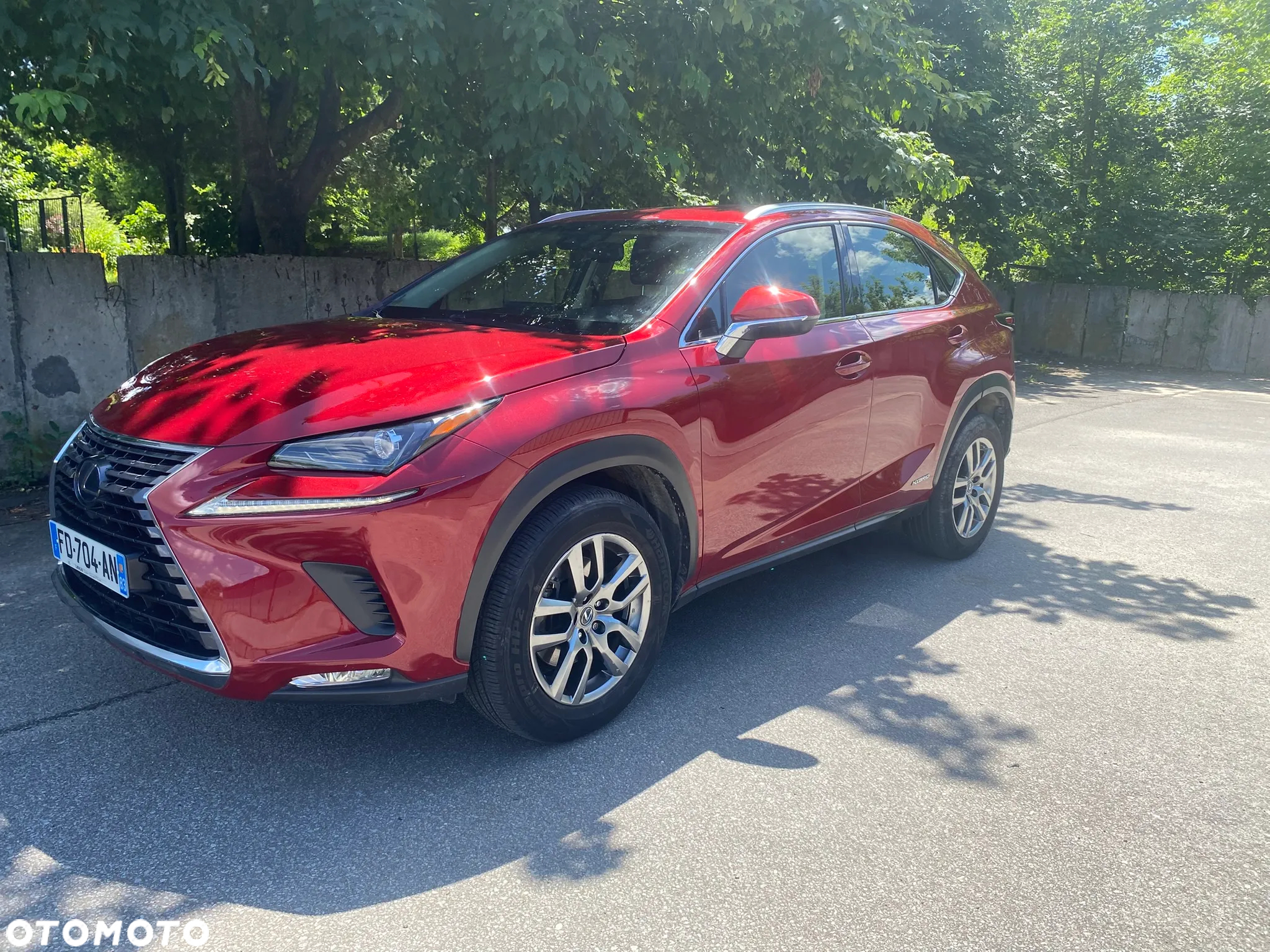 Lexus NX 300h Elegance AWD - 6