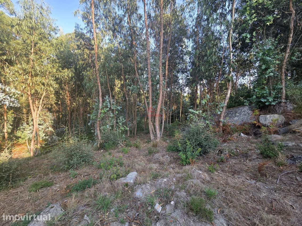 Terreno para Construção com 2.003M2 com PIP APROVADO em Roriz, Santo T - Grande imagem: 4/10