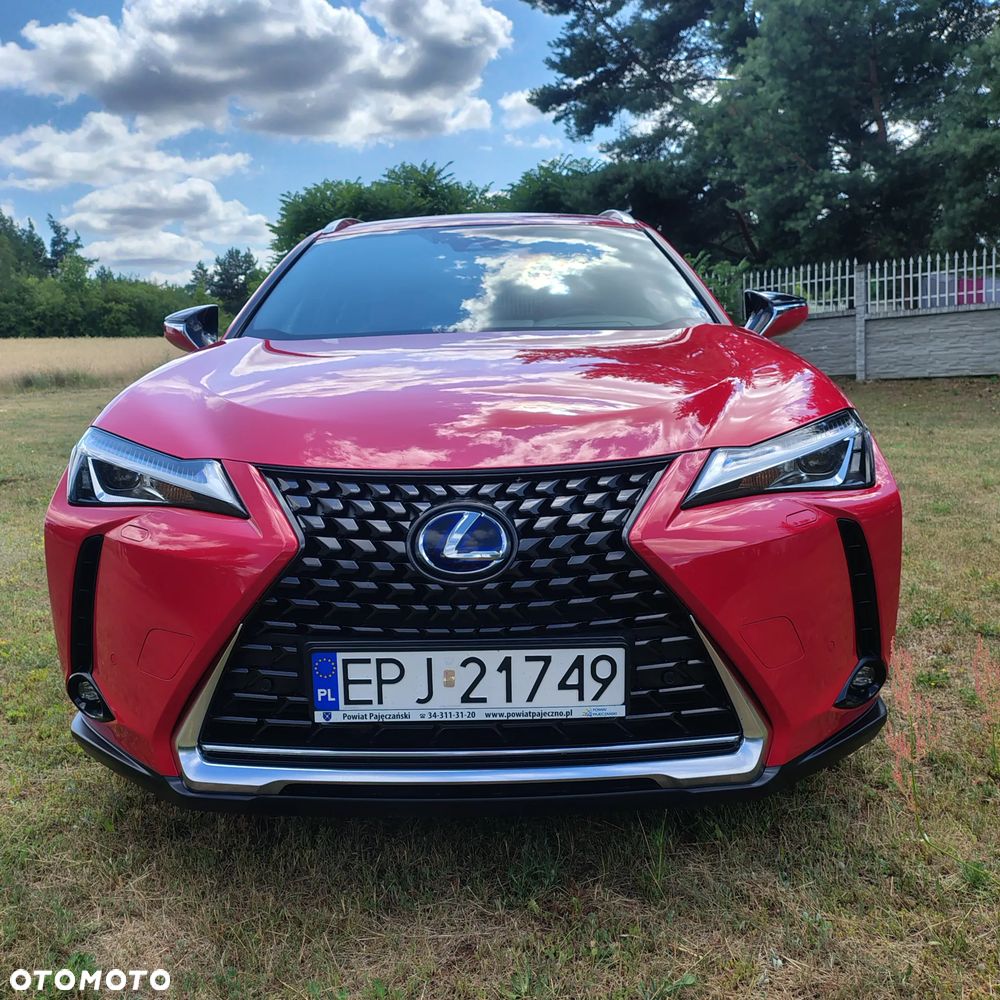 Lexus UX 250h Elegance AWD - 7