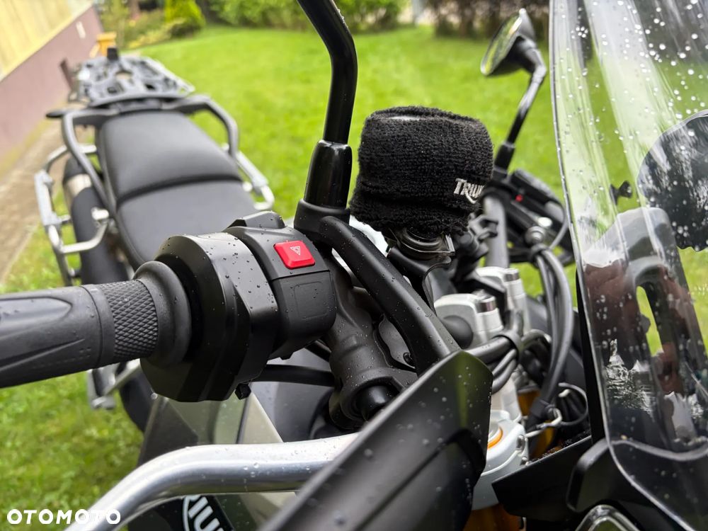 Triumph Tiger - 25