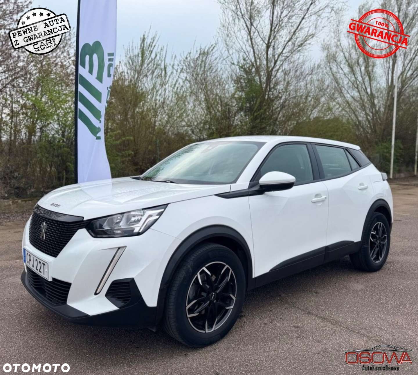 Peugeot 2008 - 1