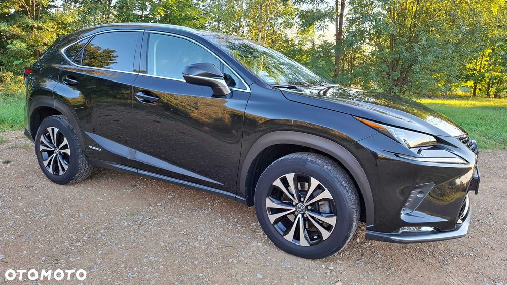 Lexus NX - 5