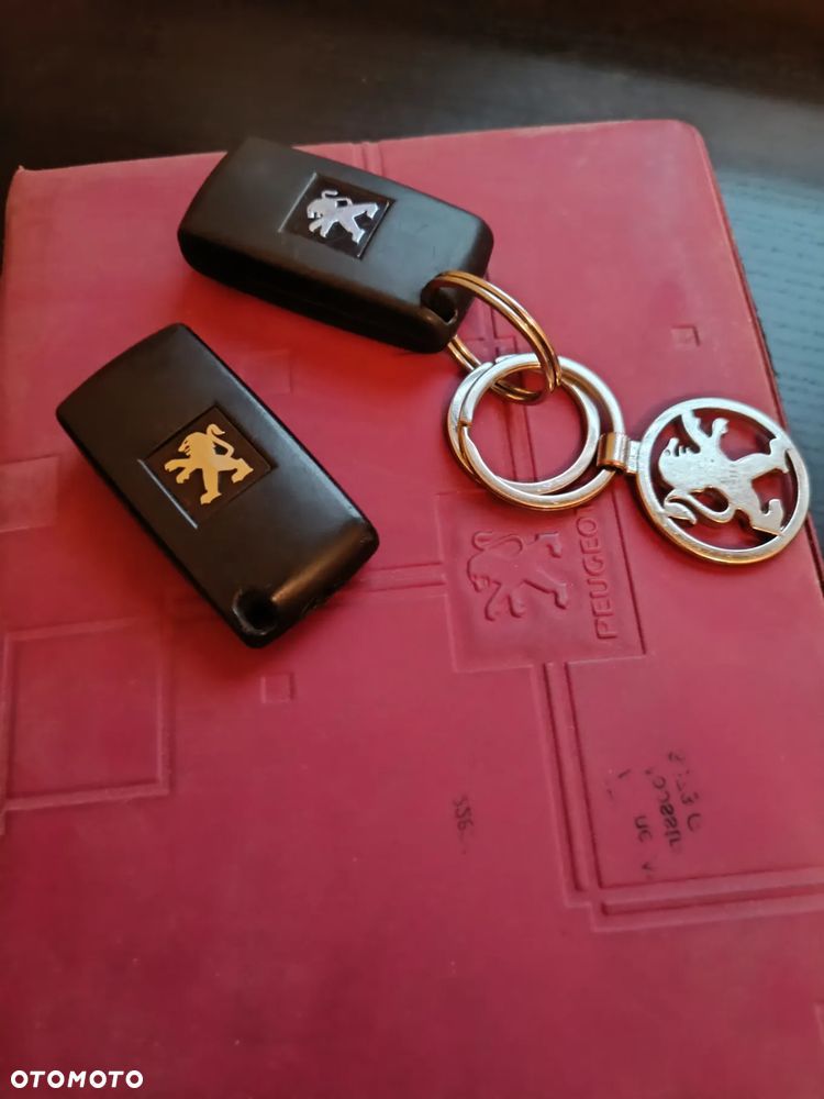 Peugeot 407 2.7HDi V6 Sport - 10