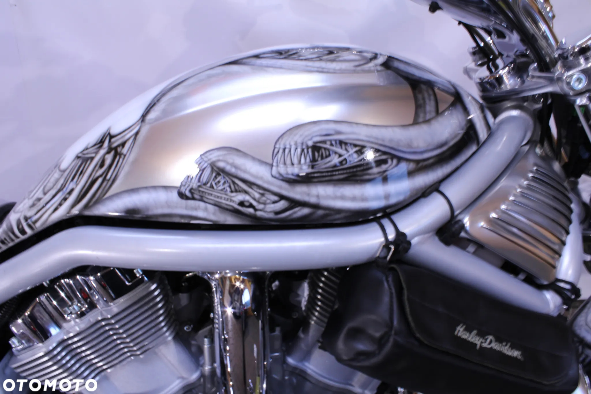 Harley-Davidson Inny - 14