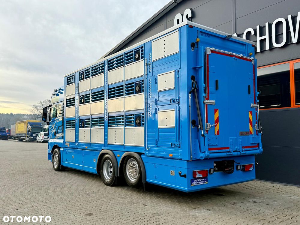 MAN TGX 26.540 // E6 // Zabudowa PEZZAIOLI // 3 poziomy hydraulika, podnoszony dach, rampa hydrauliczna // do żywca, do bydła, do transportu zwierząt - 4