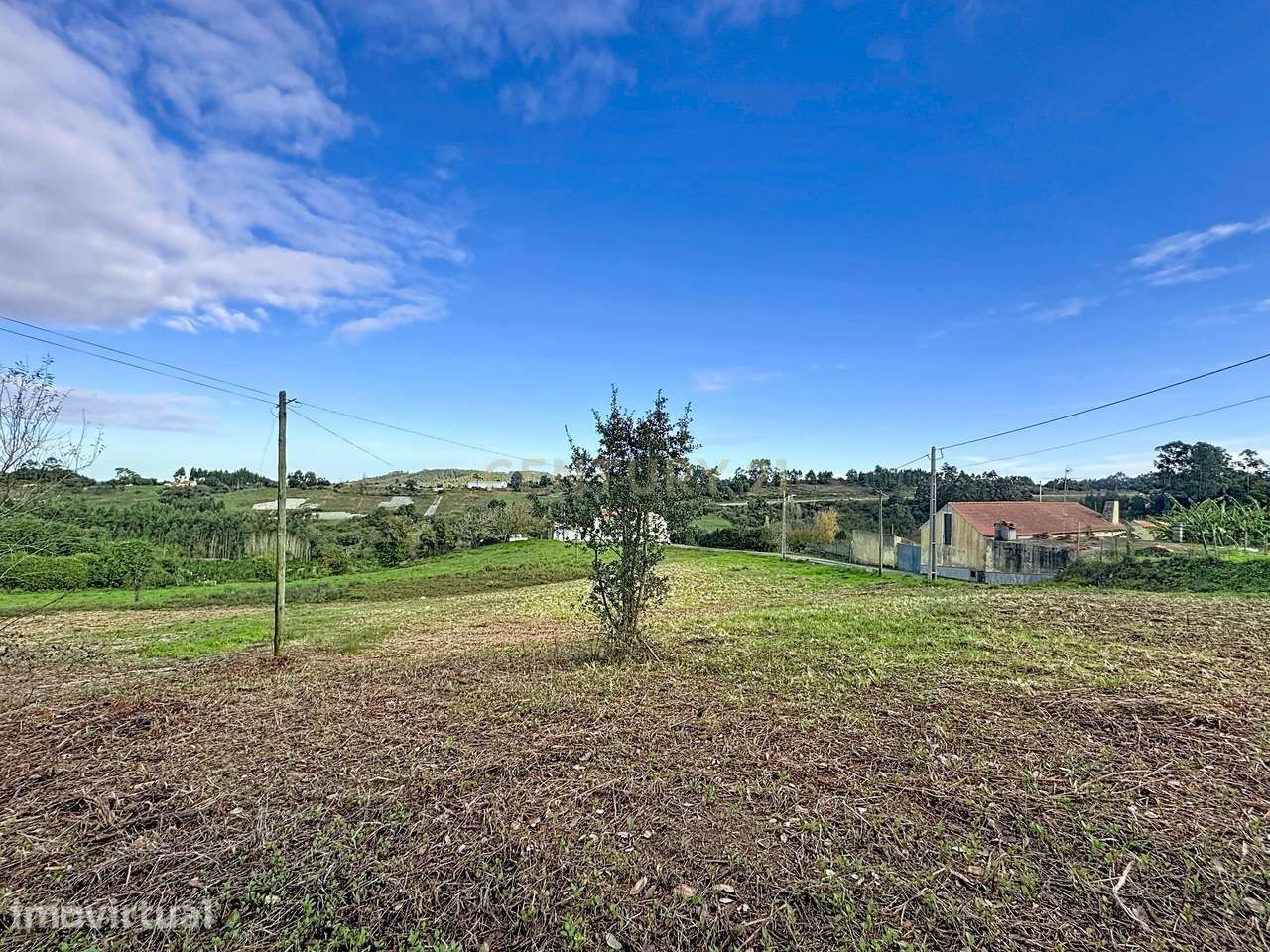 Terreno em Bemposta, Alcobaça – Oportunidade Única! - Grande imagem: 2/7