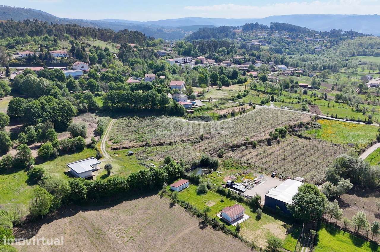 Quinta com Plantação de Kiwis - Grande imagem: 2/32