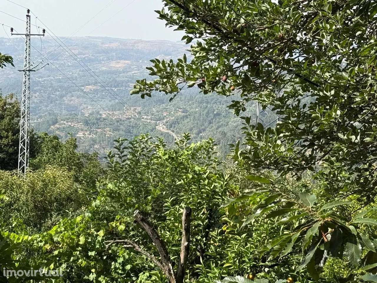 Terreno à Venda em Aviture, Cinfães - Grande imagem: 2/20