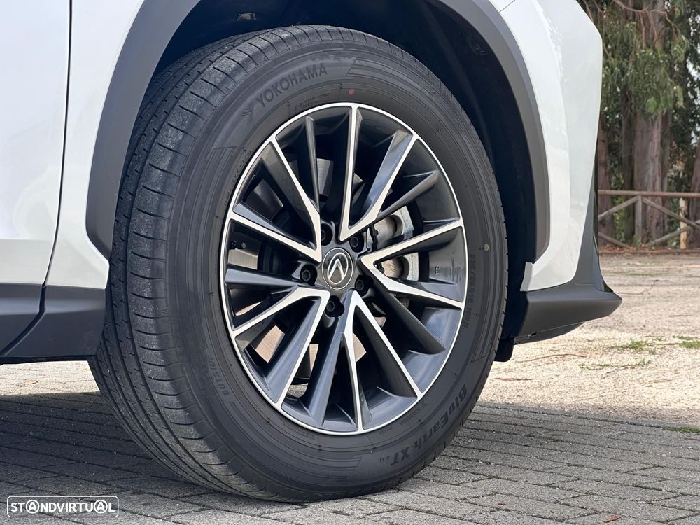 Lexus NX 450h+ Executive - 20