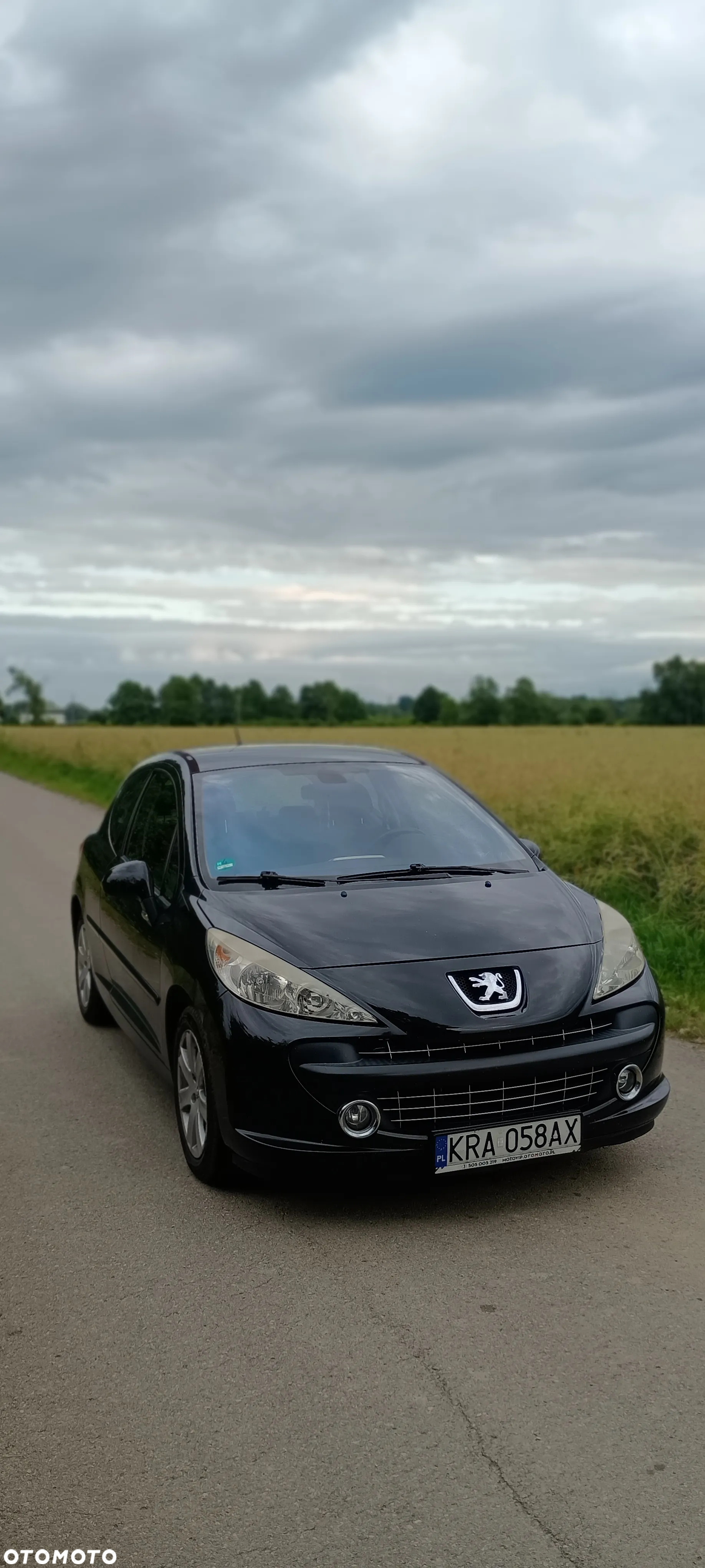 Peugeot 207 1.6 VTi Sporty - 2