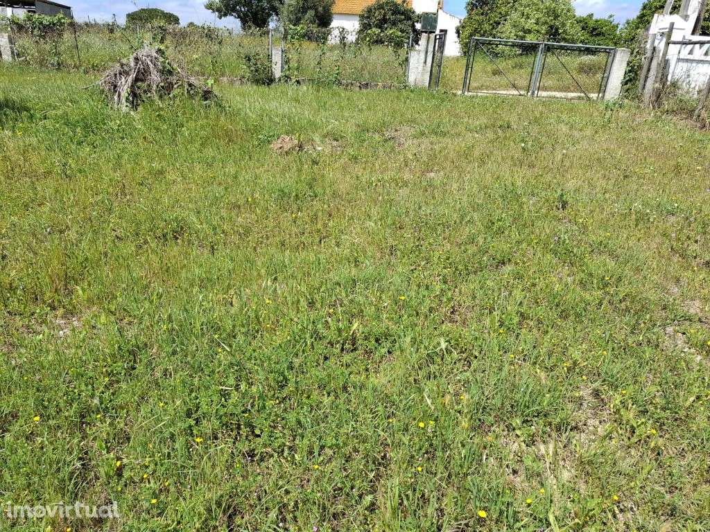 Quintinha nas Fazendas da Arriça - Branca - Grande imagem: 5/25