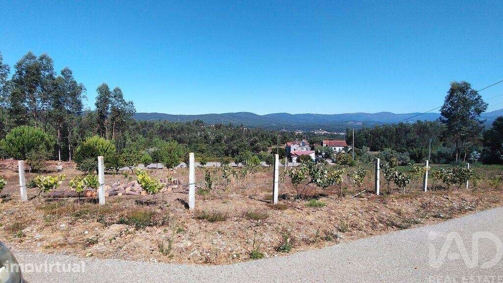 Terreno em Vila Facaia - Grande imagem: 3/15