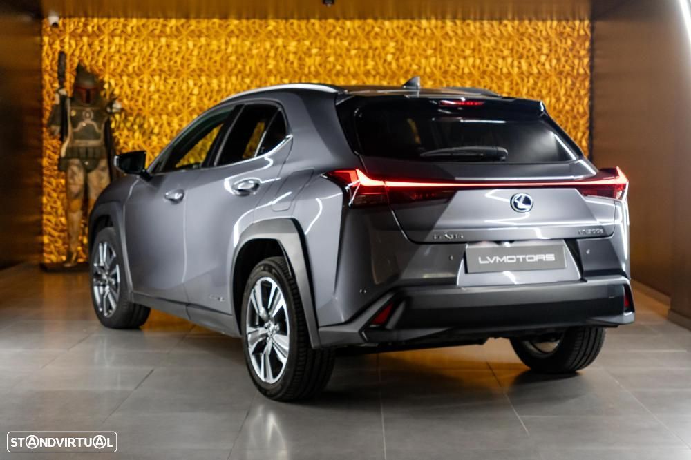 Lexus UX 300e Luxury - 14