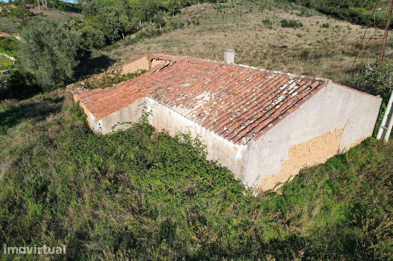 Quinta com ruína em S. Teotónio, Relva Grande - Grande imagem: 4/11