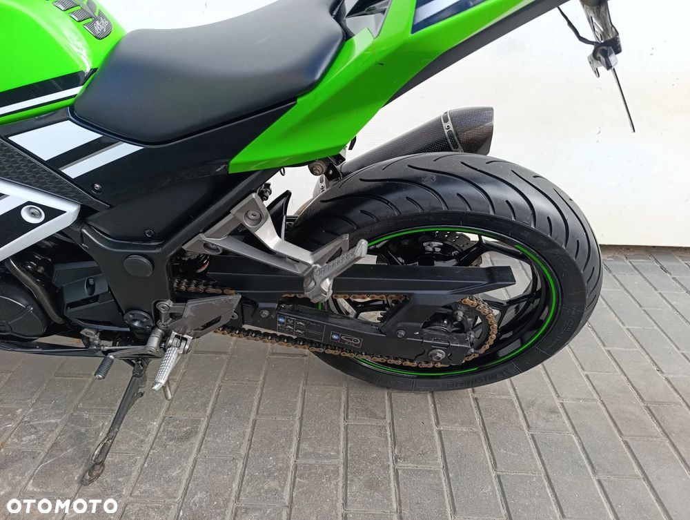 Kawasaki Ninja 300 ABS - 18