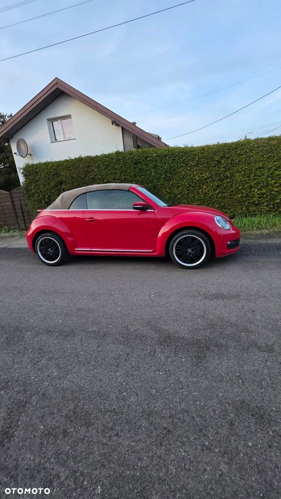 Volkswagen Beetle - 21