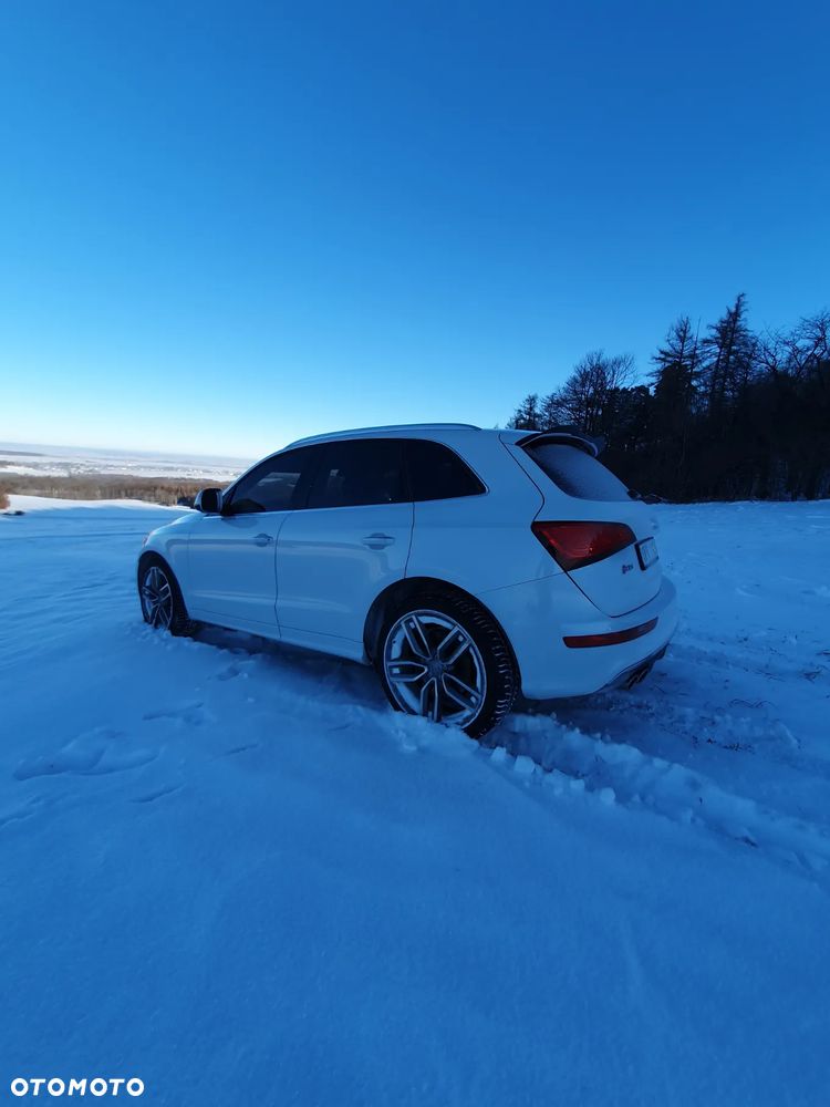 Audi SQ5 3.0 TDI Quattro Tiptronic - 5