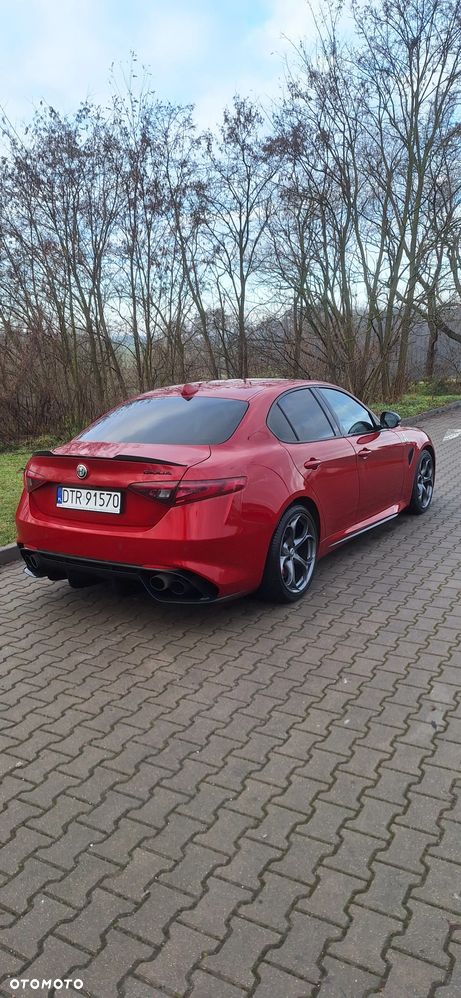Alfa Romeo Giulia 2.9 Bi Turbo V6 Quadrifoglio Nring - 14