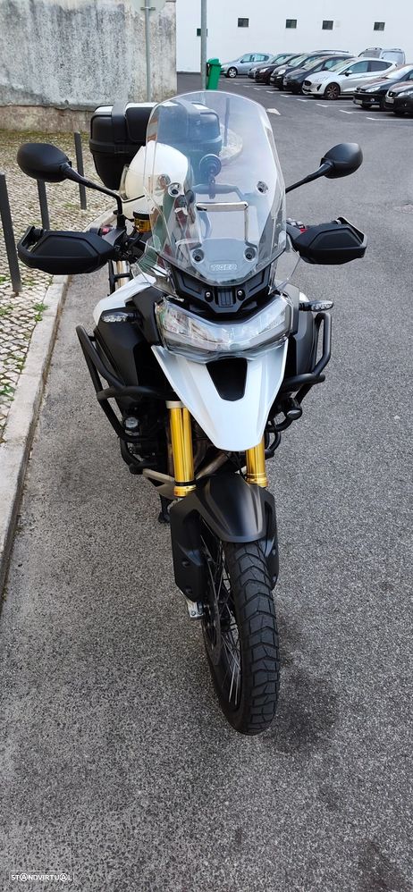 Triumph Tiger Rally Pro - 6