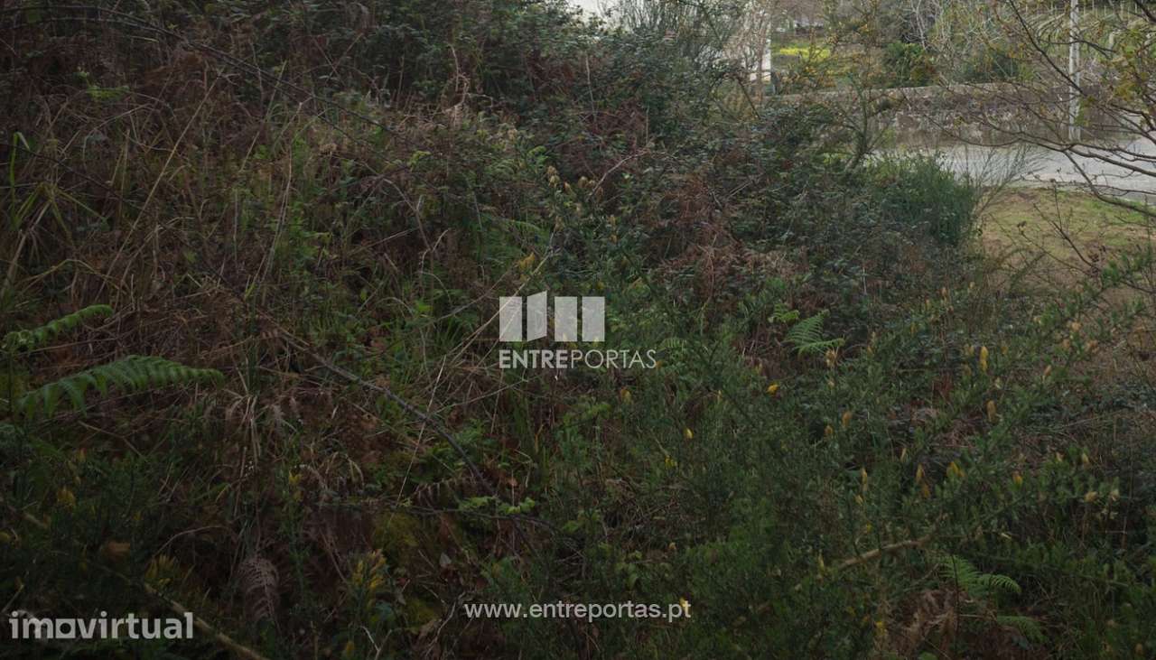 Venda de Terreno para construção, Serreleis, Viana do Castelo - Grande imagem: 5/28