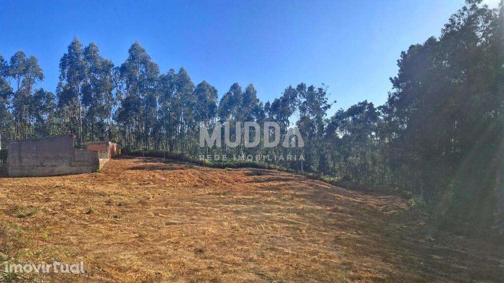 Terreno Rústico com Viabilidade de Construção em São Martinho da Ganda - Grande imagem: 3/11